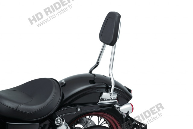 Sissy Bar - Dyna