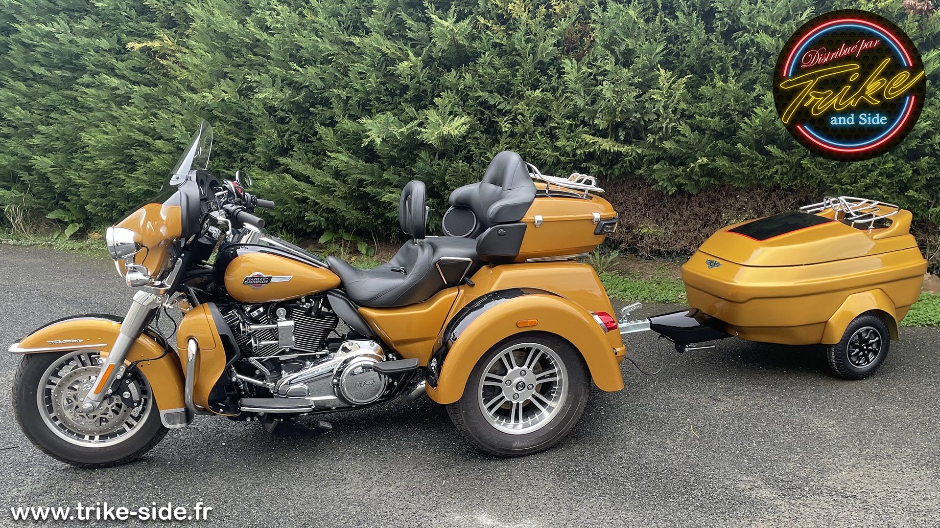 Remorque Sylger Design Prédator 2 sur Tri-Glide