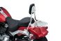 Porte-bagage pour Sissy Bar 